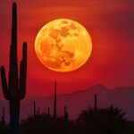 Cold Moon - Supermoon - SNPE